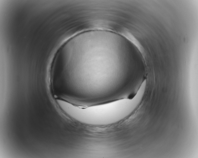 X0000088391144200706051113