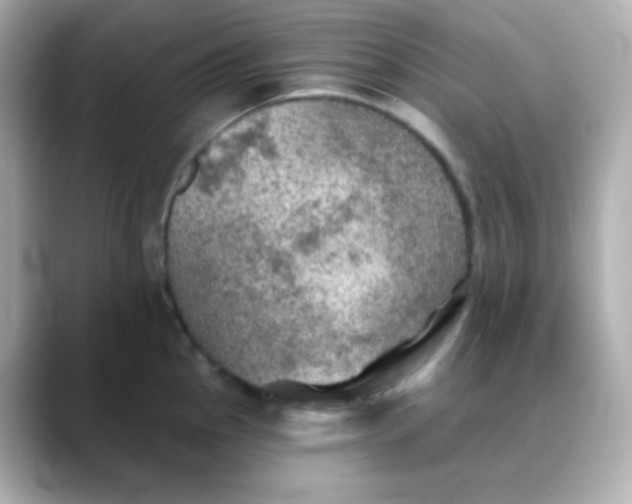 X0000088391145200706051113