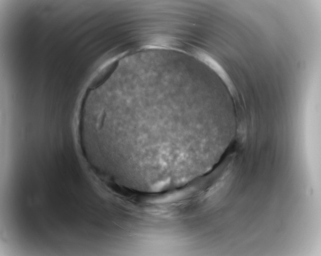 X0000088391146200706051113