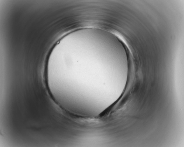 X0000088391147200706051113