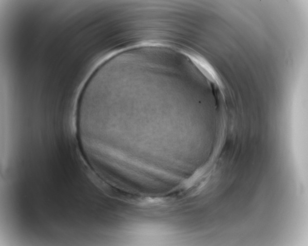 X0000088391148200706051113