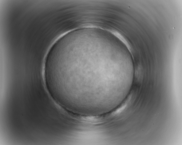 X0000088391149200706051113