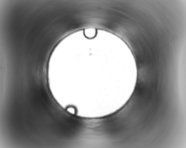 X0000088391150200706051113