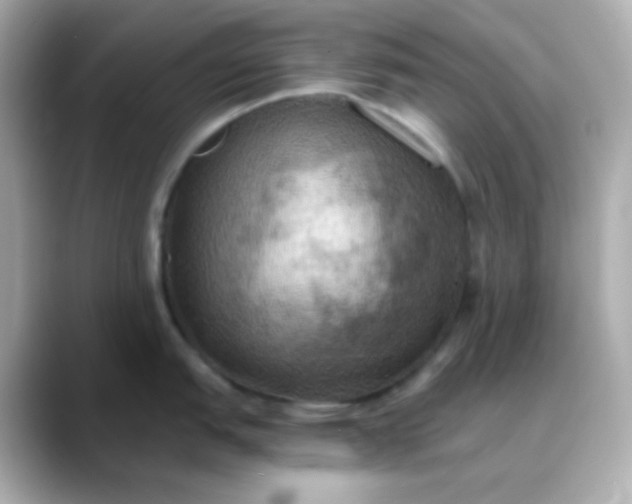 X0000088391151200706051113