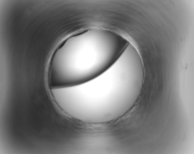 X0000088391152200706051113