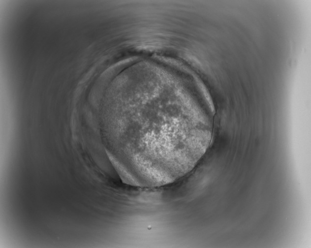 X0000088391153200706051112