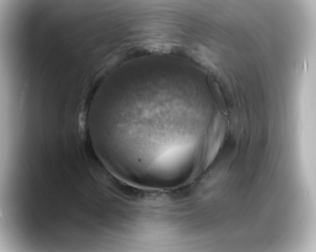 X0000088391154200706051112