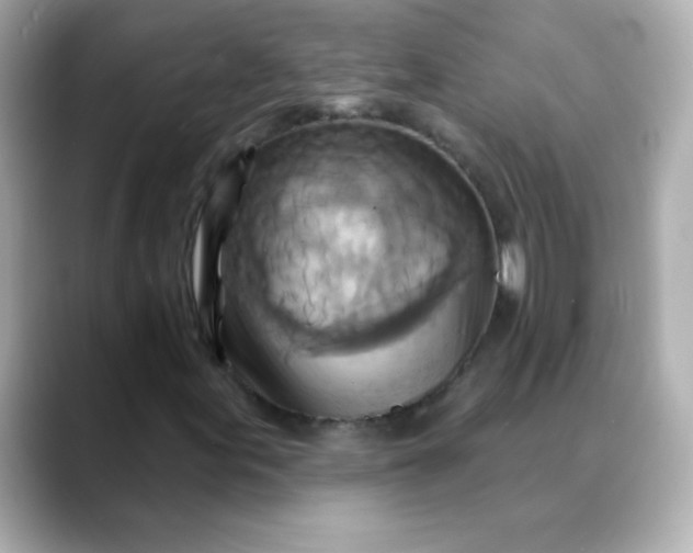 X0000088391155200706051112