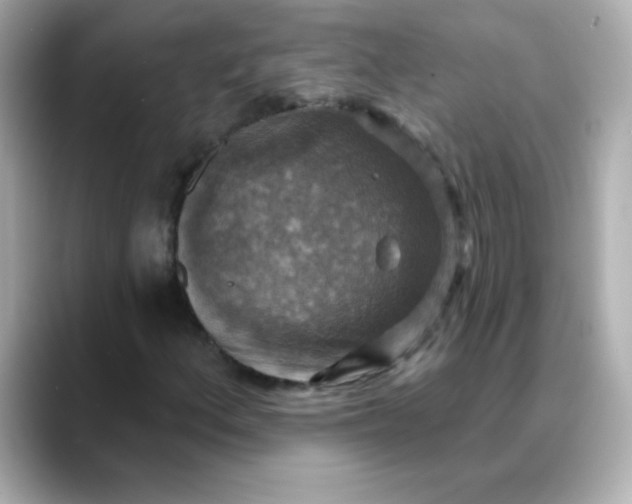 X0000088391156200706051112