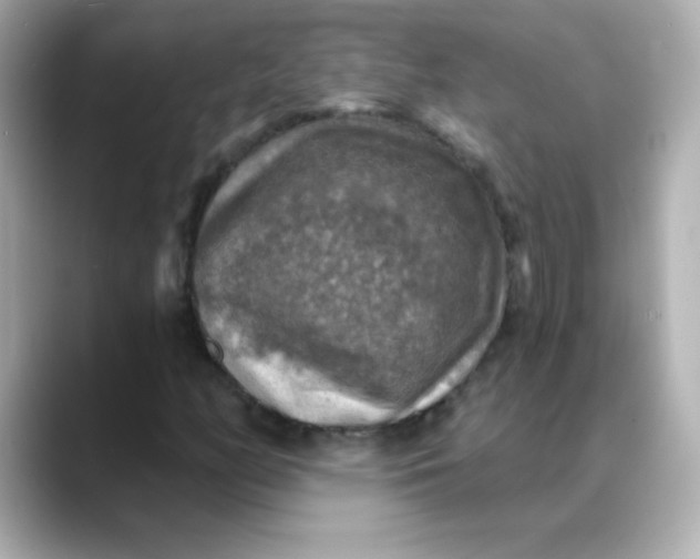 X0000088391158200706051112