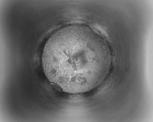 X0000088391159200706051112