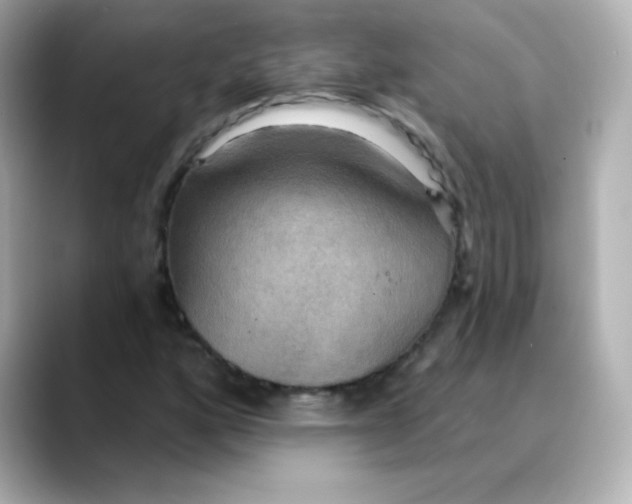 X0000088391160200706051112