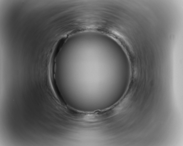 X0000088391161200706051112