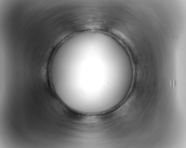 X0000088391162200706051112