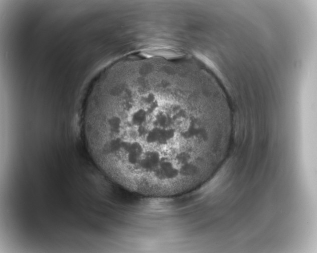 X0000088391163200706051112