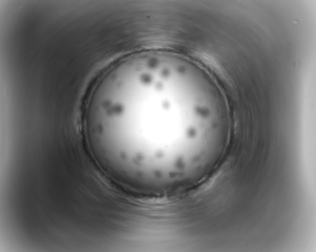 X0000088391164200706051112