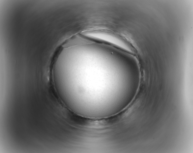 X0000088391165200706051112