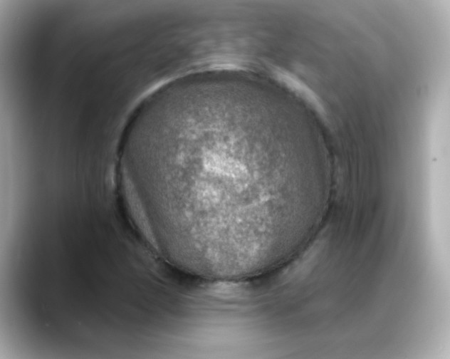 X0000088391166200706051112