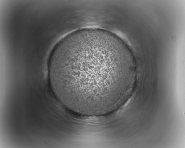 X0000088391167200706051112