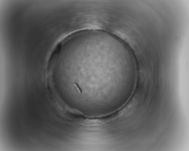 X0000088391168200706051112