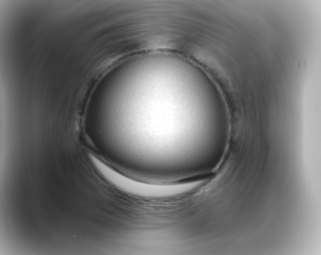 X0000088391169200706051112