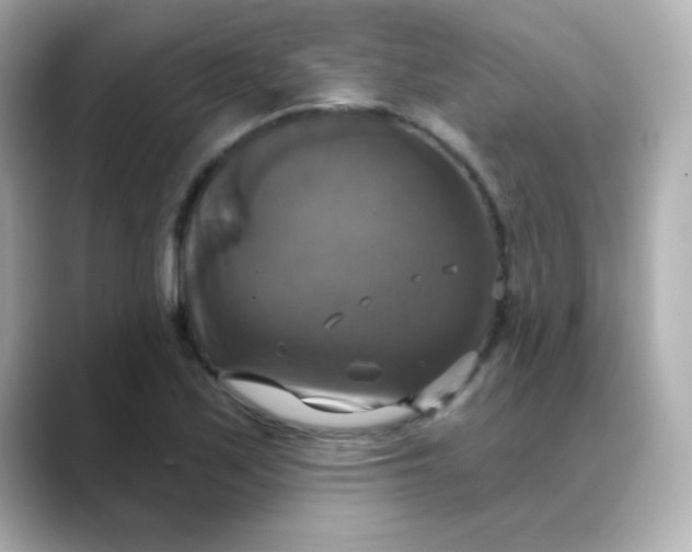 X0000088391171200706051112