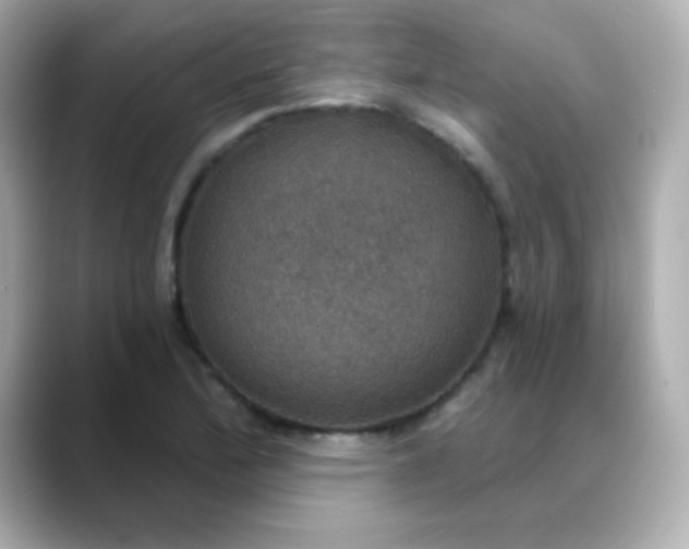 X0000088391172200706051112