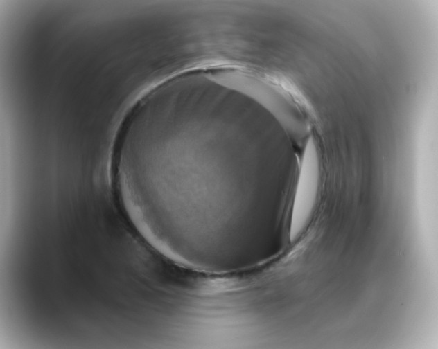 X0000088391173200706051112