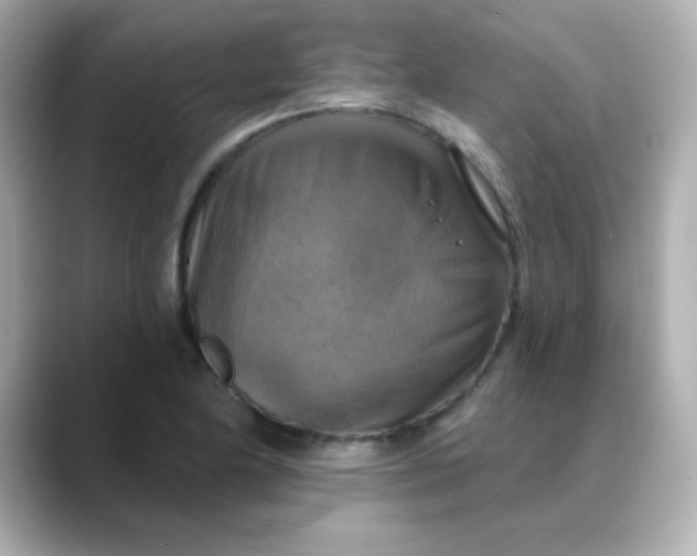 X0000088391174200706051112