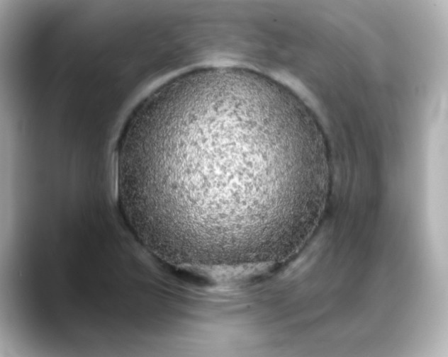 X0000088391175200706051112