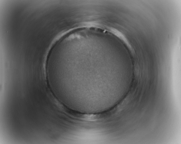 X0000088391176200706051112