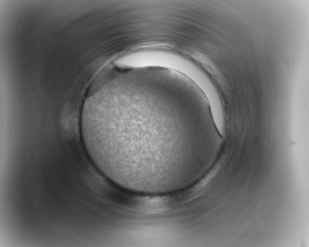 X0000088391177200706051112