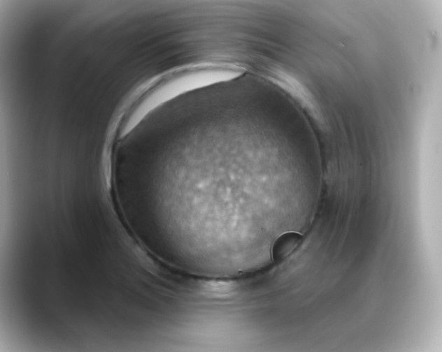 X0000088391180200706051112