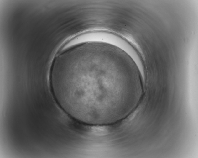 X0000088391181200706051112