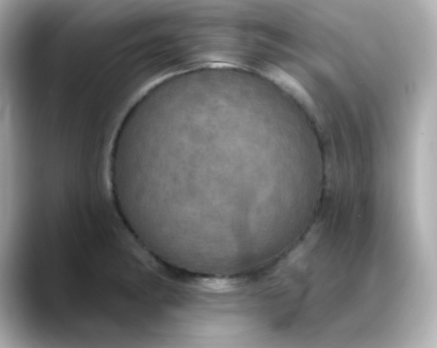 X0000088391182200706051112