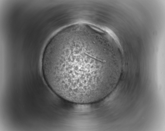 X0000088391183200706051112