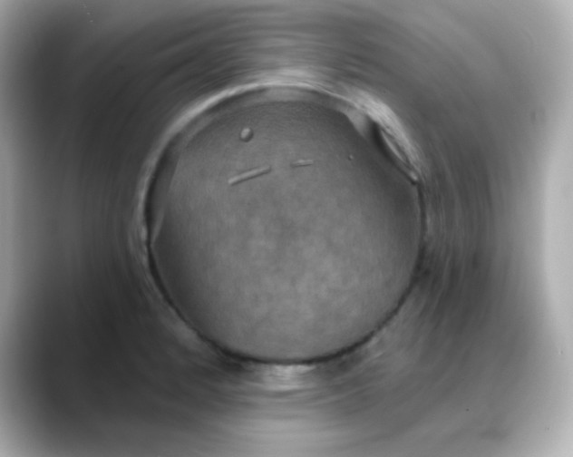 X0000088391184200706051112