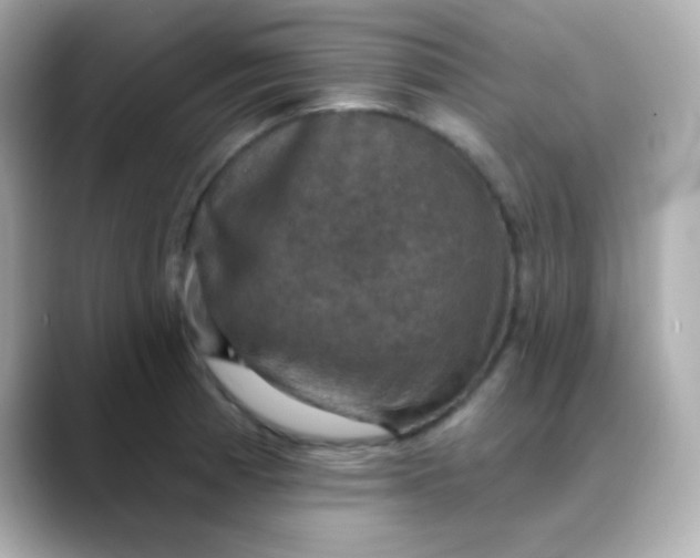 X0000088391185200706051112