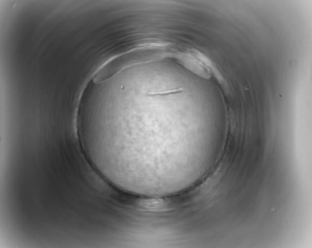 X0000088391186200706051112