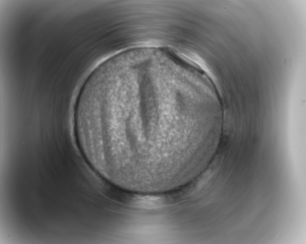 X0000088391187200706051112