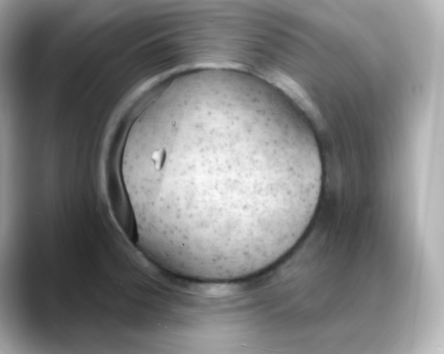 X0000088391188200706051112