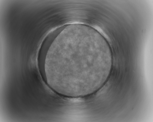 X0000088391189200706051112