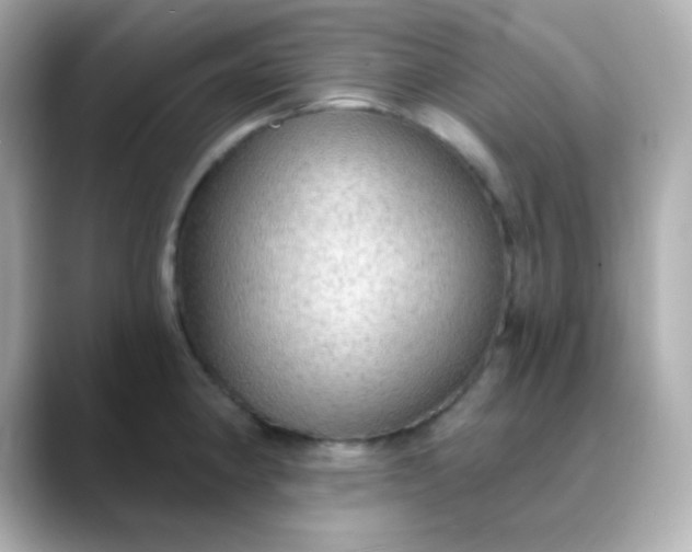 X0000088391190200706051112