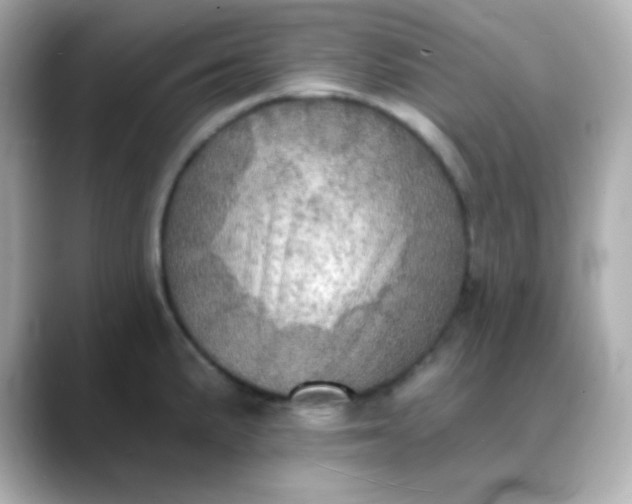 X0000088391191200706051112