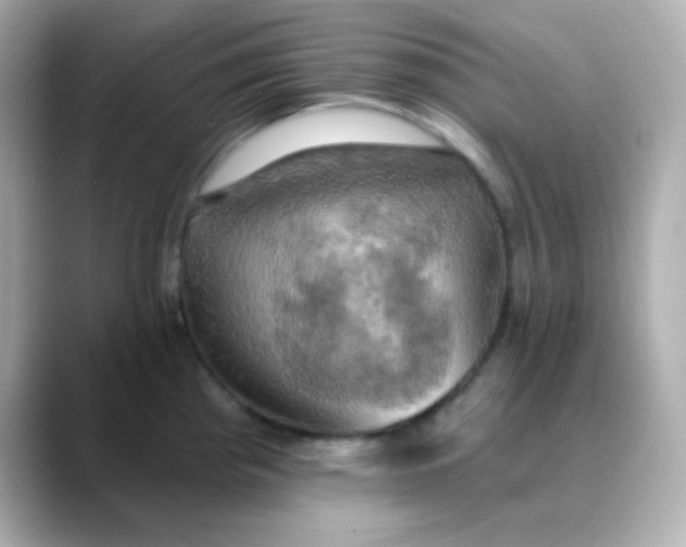 X0000088391193200706051112