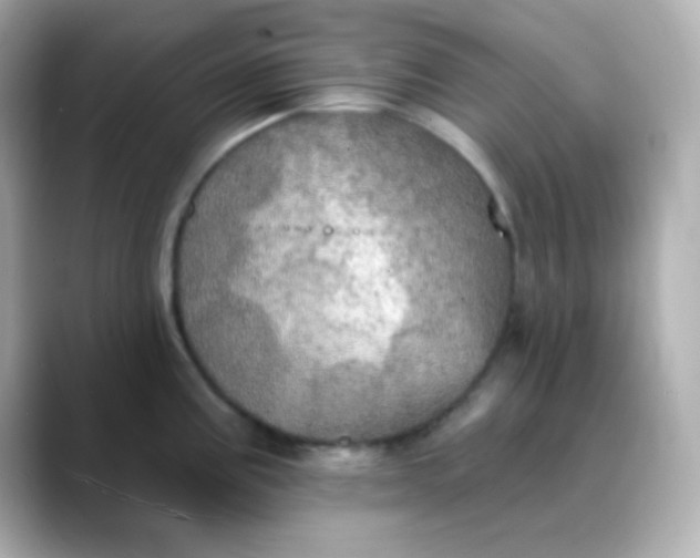 X0000088391195200706051112