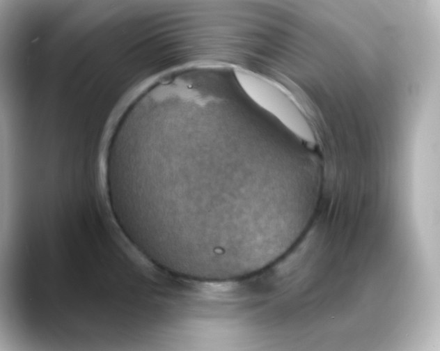 X0000088391196200706051112