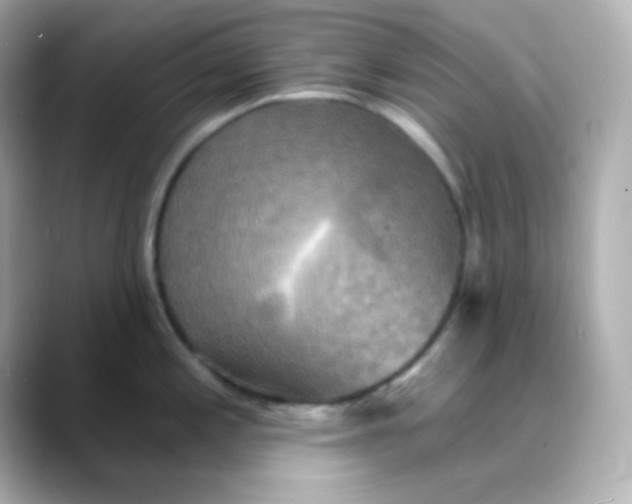 X0000088391197200706051112