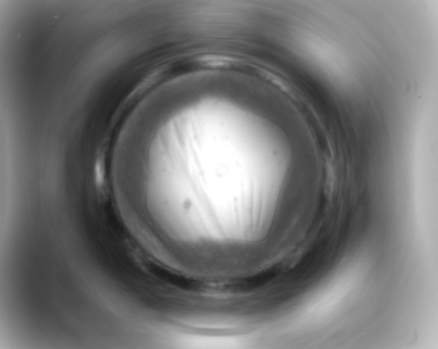 X0000088391198200706051112