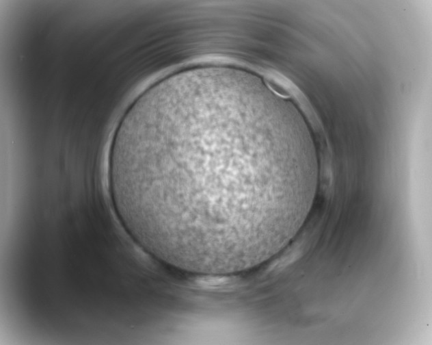 X0000088391199200706051112